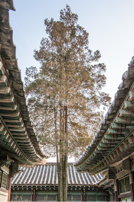 기와,전통가옥,비대칭,문양,무늬,고택,한국전통,한국문화,korean traditional,korean culture,건축물,건물외관,exterior,building,structure,architecture,construction