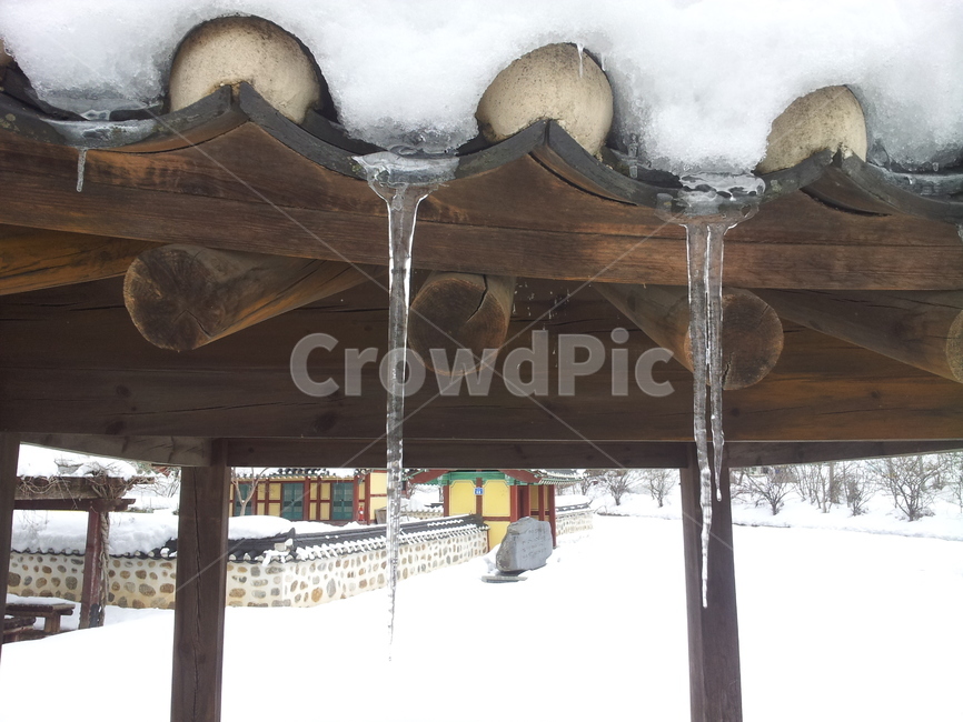 자연,nature,눈,snow,겨울,winter,겨울,계절,winter,season