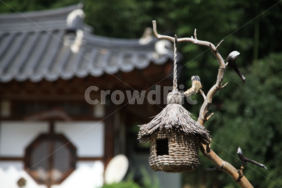 경북,고령군,해살이마을,풍경,창문,새집,한국전통,한국문화,korean traditional,korean culture,사물,물건,오브젝트,thing,object,matter