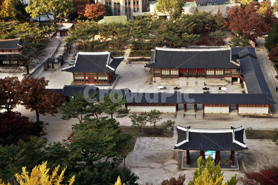 덕수궁,궁궐,가을,자연,도심,함녕전,덕흥전,한국전통,한국문화,korean traditional,korean culture