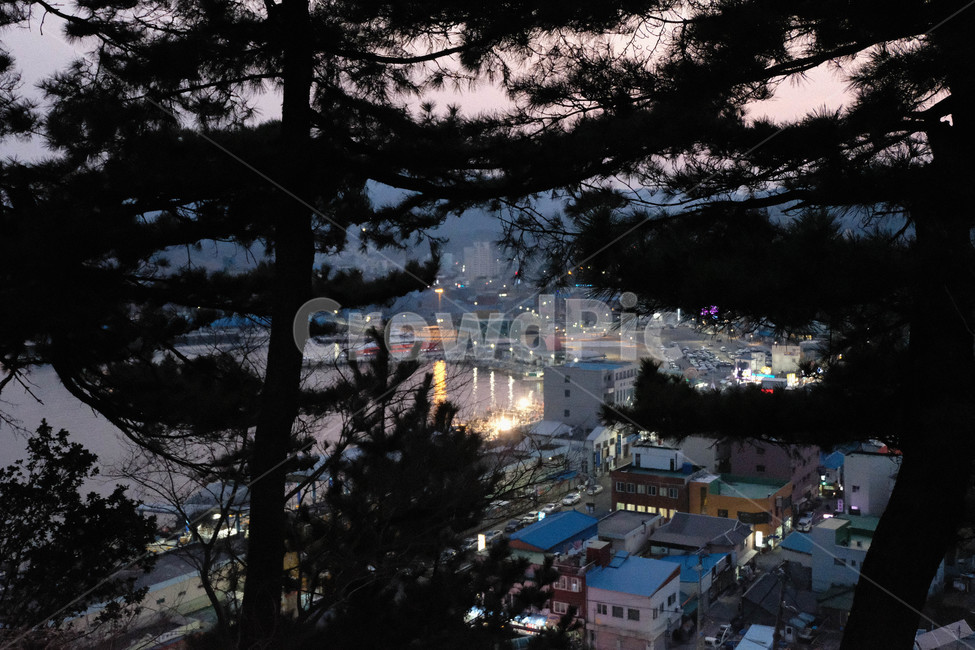 묵호항,나무,마을,마을풍경,시골풍경,동해마을,묵호항마을,도시,풍경,city,landscape,한국도시풍경,한국도시경관,korea cityscape,nature,자연,outdoors,옥외,경치,scenery,aerial view,조감도