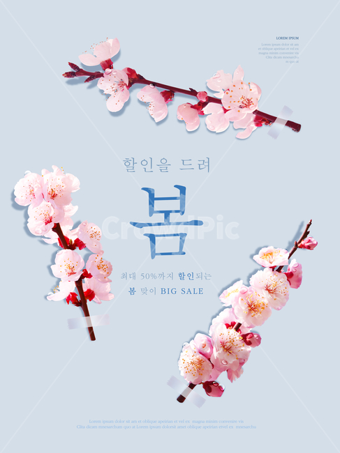 매화,꽃,봄,프레임,이벤트,쇼핑,봄,계절,spring,season,꽃,flower,축제,행사,festival,carnival,event,쇼핑,shopping,그래픽,일러스트레이션,graphic,illustration,plant,식물,blossom