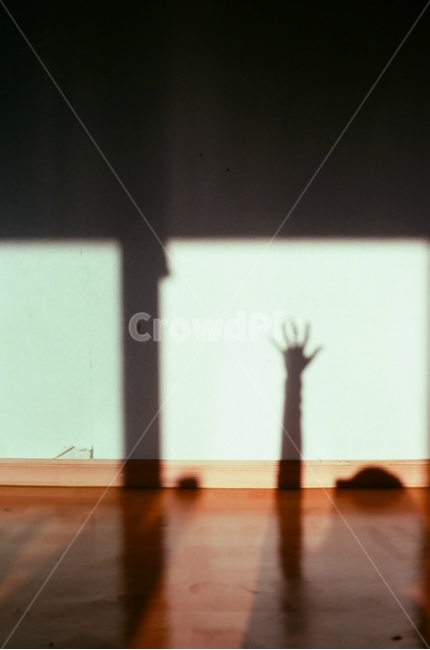 카메라,모델,촬영,학생,필름,필름카메라,아날로그,그림자,오후,햇빛,여름,손