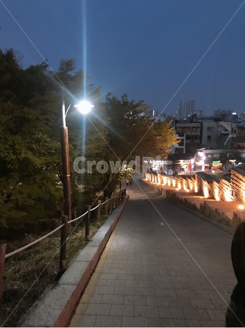 계단,나무,산책로,풍경,길,자연,배경