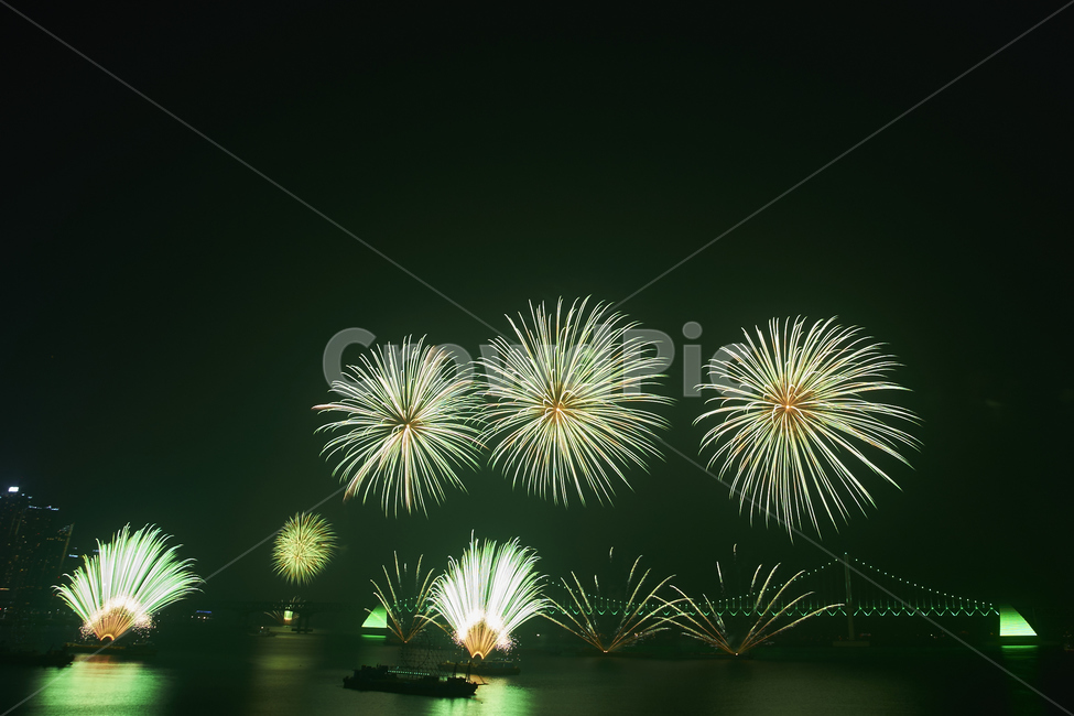 불꽃,불꽃놀이,부산불꽃축제,폭죽,부산밤바다,화약,야경,밤,풍경,nightscape,night,landscape,nature,자연,outdoors,옥외