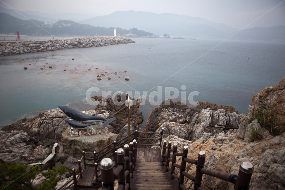 outdoors,옥외,자연,풍경,삼척,동해,산책로,장호항,sea,nature,wave,바위,바다