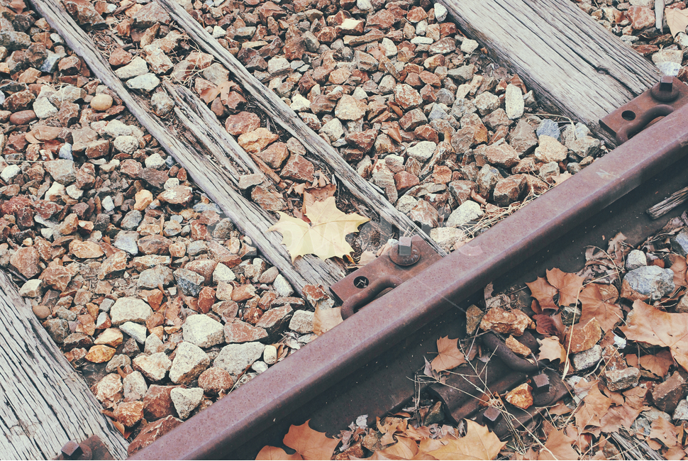 감성,가을,자연,기찻길,낙엽,하늘,나뭇가지,가을,계절,fall,autumn,season,감성,sensible,feeling,교통,교통수단,traffic,transportation,train track,railway,철도,rail,레일,rubble,파편