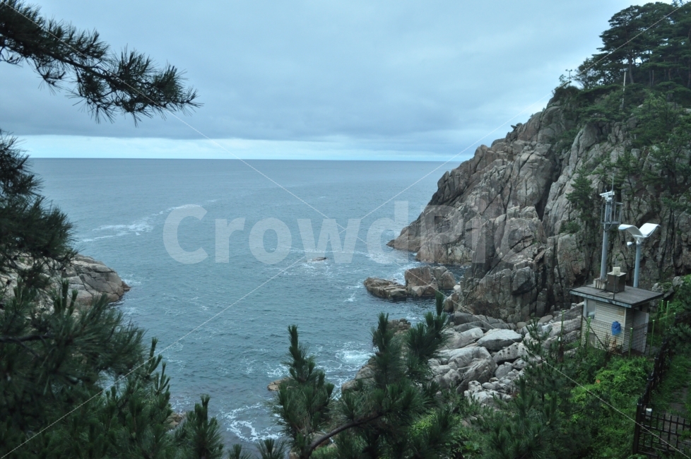 절벽,바다,나무,전망,풍경,자연,풍경,nature,landscape,한국자연풍경,한국자연경관,korea nature landscape,plant,식물,tree,promontory,곶