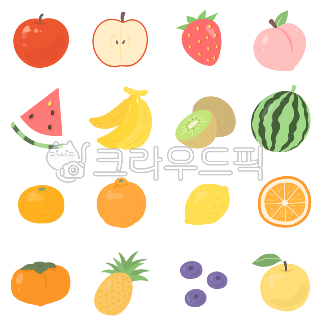 과일,일러스트,드로잉,그림,단면,사과,딸기,복숭아,수박,바나나,키위,귤,오렌지,오랜지,레몬,감,단감,파인애플,블루베리,배