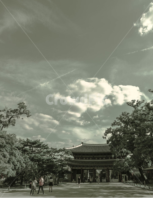 궁,palace,korea,traditional,sky,하늘,한국,대한민국,옛,궁전,창덕궁,changdeokgung,changdeokpalace,tradition,asia,아시아,전통,한국전통,한국문화,korean traditional,korean culture,랜드마크,landmark,tourist attraction,한국랜드마크,한국관광지,한국명소,korea landmark,korea tourist attraction,사람들,대중,군중,other people,crowd,흑백,모노톤,monochrome,black and white