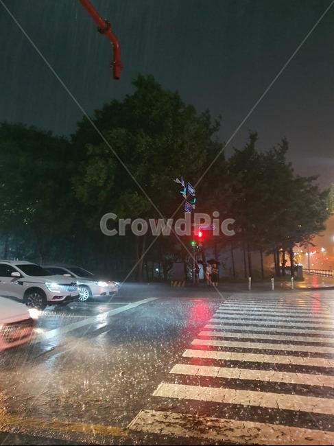 도로,아스팔트,비,장마,횡단보도,비,비오는날,rain,rainy