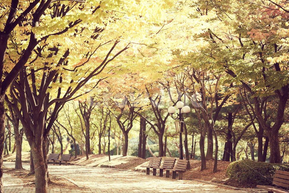 낙옆,가을공원,가을햇살,따뜻한느낌,가을,늦은가을,햇살