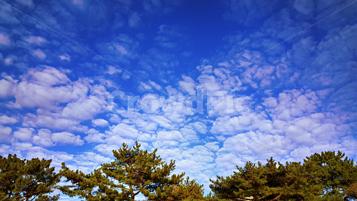 파란하늘,흰구름,푸른하늘,nature,자연,outdoors,옥외,하늘,weather,날씨,cumulus,cloud,구름