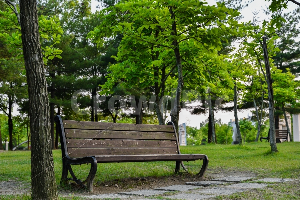 의자,여유,한밭수목원,Nikon,풍경사진,감성사진,인물사진,스냅사진,일상,취미,촬영,소통,데일리,포토,photo,photographer,picture,pic,daily,dailyphoto,dailypic,촬영문의,출사문의,식물,자연,plants,nature,나무,trees,wood,휴식,힐링,rest,relaxation,healing