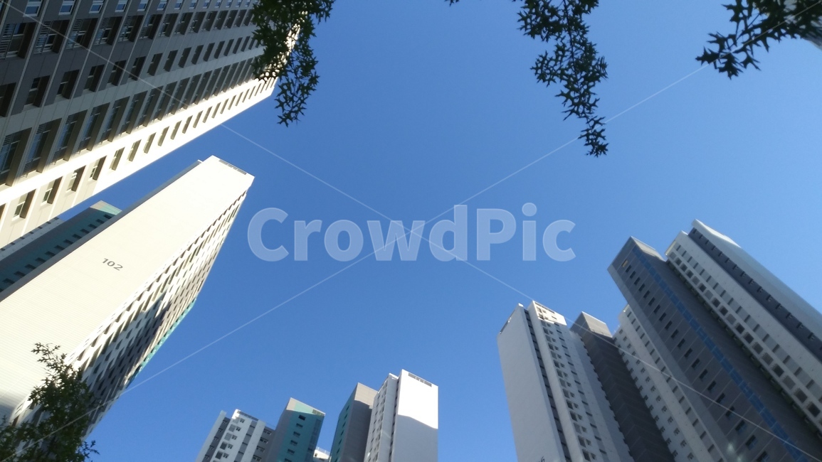 building,사무실건물,건물,고층건물,highrise,아파트,도시,시티,urban,도시,풍경,city,landscape