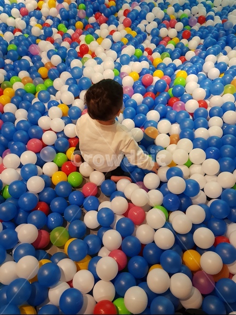 공,풀공,이이,뒷모습,남자아이,사람,인물,인간,human,person,어린이,어린아이,child,children,kid