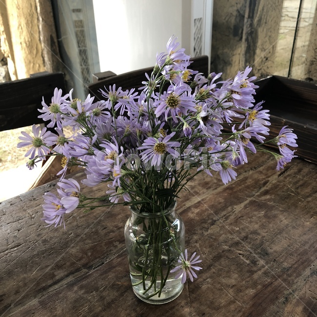 화병,꽃병,카페인테리어,카페식물,생화,꽃,flower