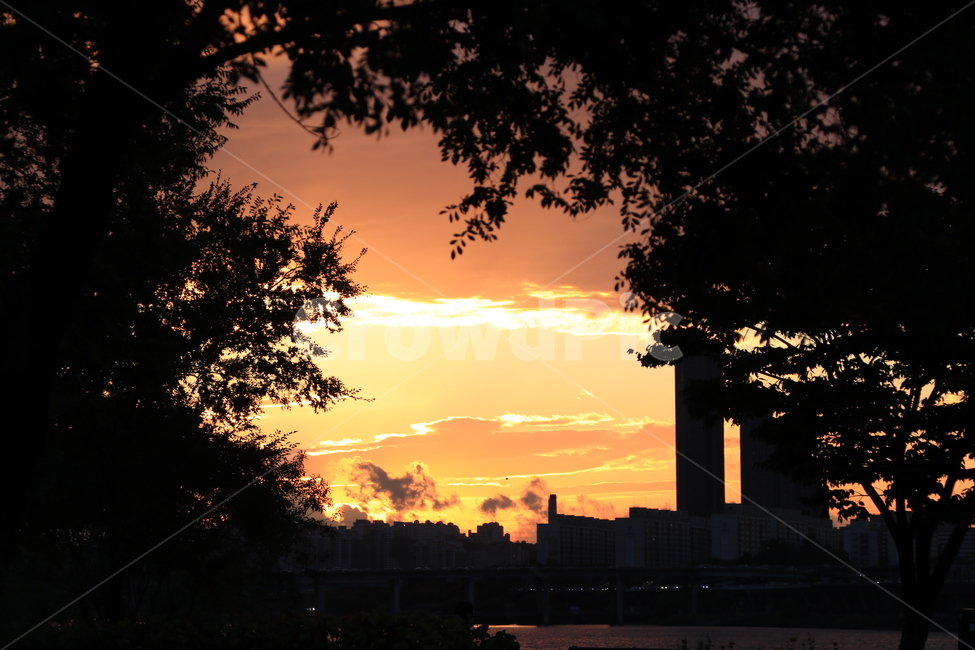 가을,노을,가을저녁,가을노을,autumn,sky,sunset,hanliver,한강,도시,풍경,city,landscape,실루엣,그림자,silhouette,shadow,nature,자연,outdoors,옥외,하늘,red sky,붉은 하늘,dusk,황혼,dawn,새벽,일몰,sunlight,햇빛