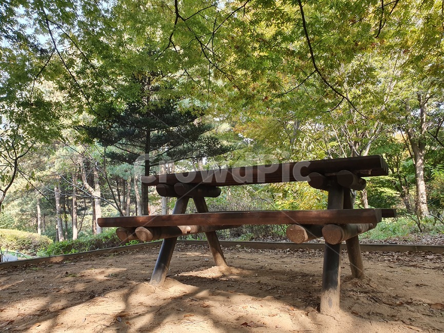 숲,나무,벤치,자연,furniture,가구,감성