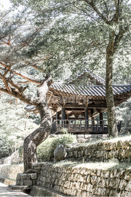 정자,누각,문경세재,문화유산,전통,자연,풍경,자연,풍경,nature,landscape,한국자연풍경,한국자연경관,korea nature landscape,한국전통,한국문화,korean traditional,korean culture,휴식,힐링,rest,relaxation,healing