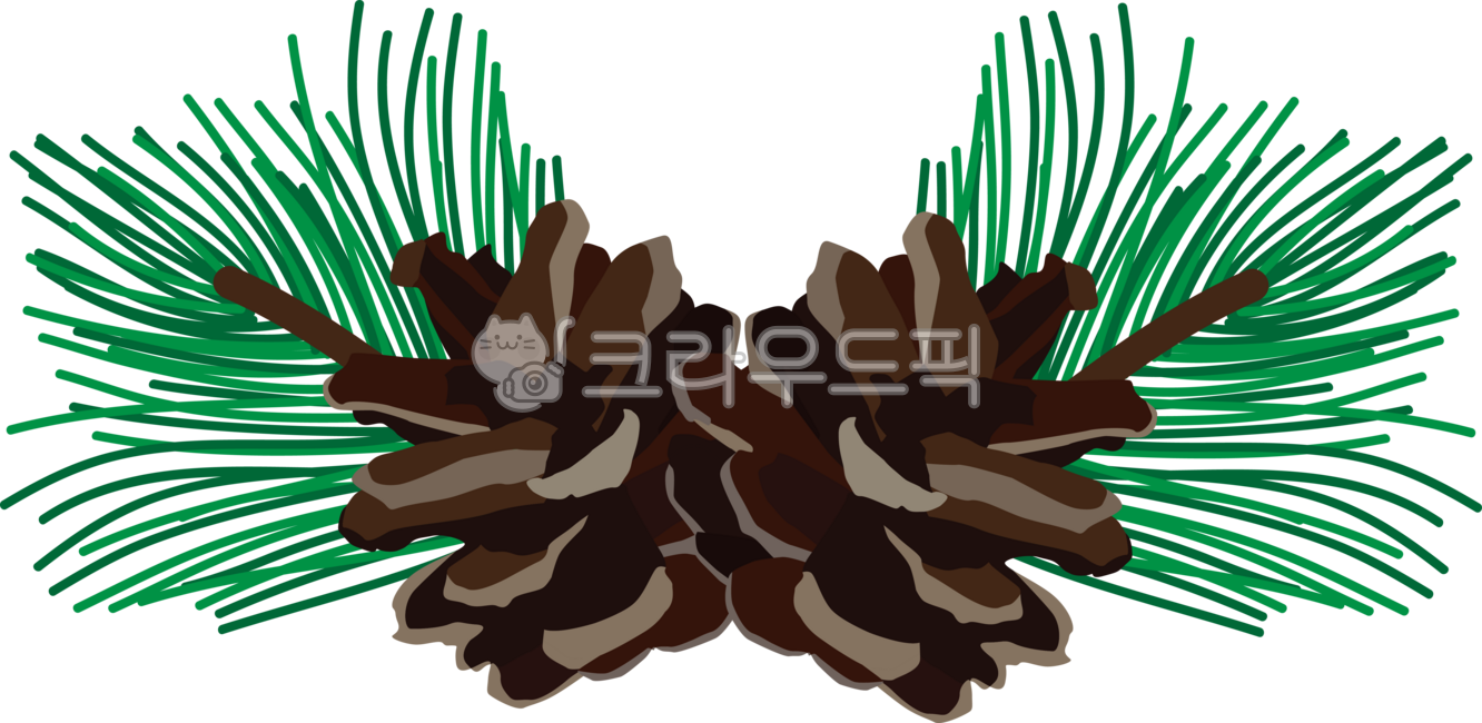 솔잎,솔방울,크리스마스장식,크리스마스,소품,나무,식물,plant,tree,illust,일러스트,드로잉,일러스트레이션,소나무,전나무,겨울,성탄절,그래픽