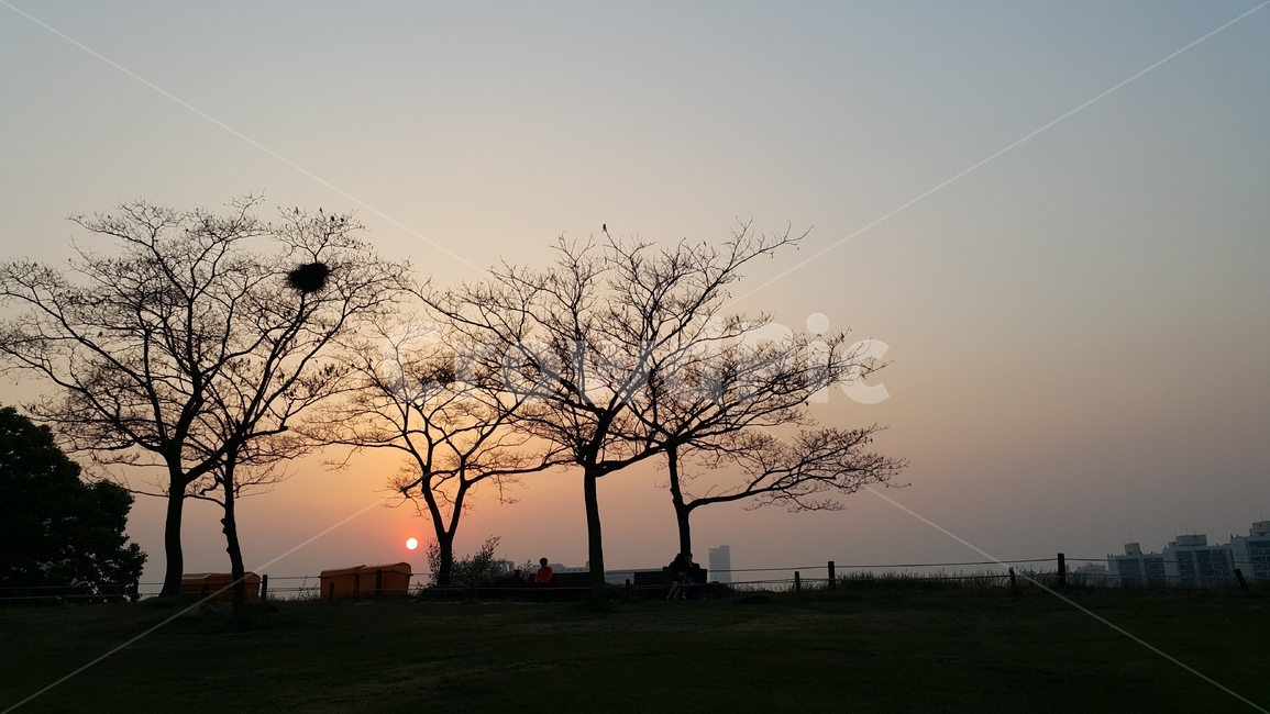 nature,outdoors,자연,silhouette,일몰,석양,노을,나무,자연,풍경,nature,landscape,옥외,실루엣