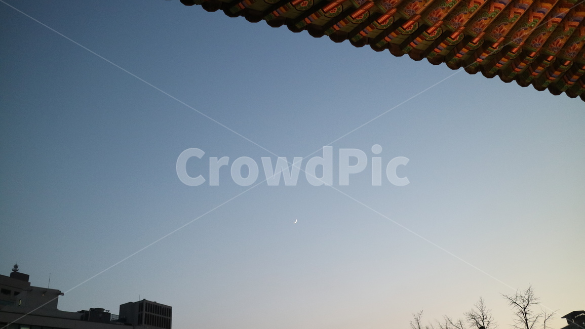 덕수궁,궁궐,기와,한옥,초승달,도심,해질녘,하늘