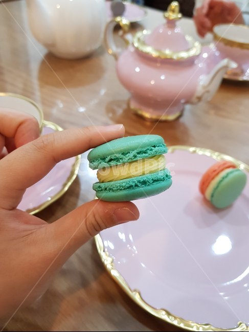 마카롱,디저트,과자,음식,food,sweets,후식,손,디저트,간식,후식,dessert,snack