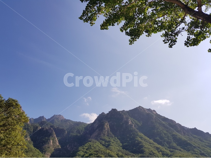 산,나무,햇살,sunbeam,mountain,속초,설악산,하늘,sky,구름,풍경,자연,감성,녹색,푸르다,여름,sunshine,자연,풍경,nature,landscape,outdoors,옥외
