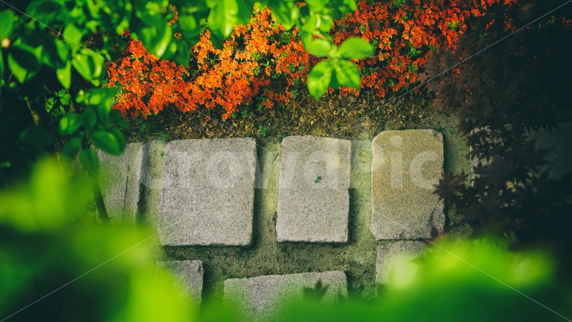 길,풀,자연,배경,이미지,꽃,돌길,꽃길,way,풍경,자연,풍경,nature,landscape,walkway,보도,path,통로