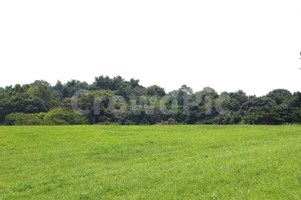 하늘,나무,식물,자연,야외,공원,정원,풍경,자연,풍경,nature,landscape,field,들,grassland,목초지,outdoors,옥외,farm,농장,rural,농촌