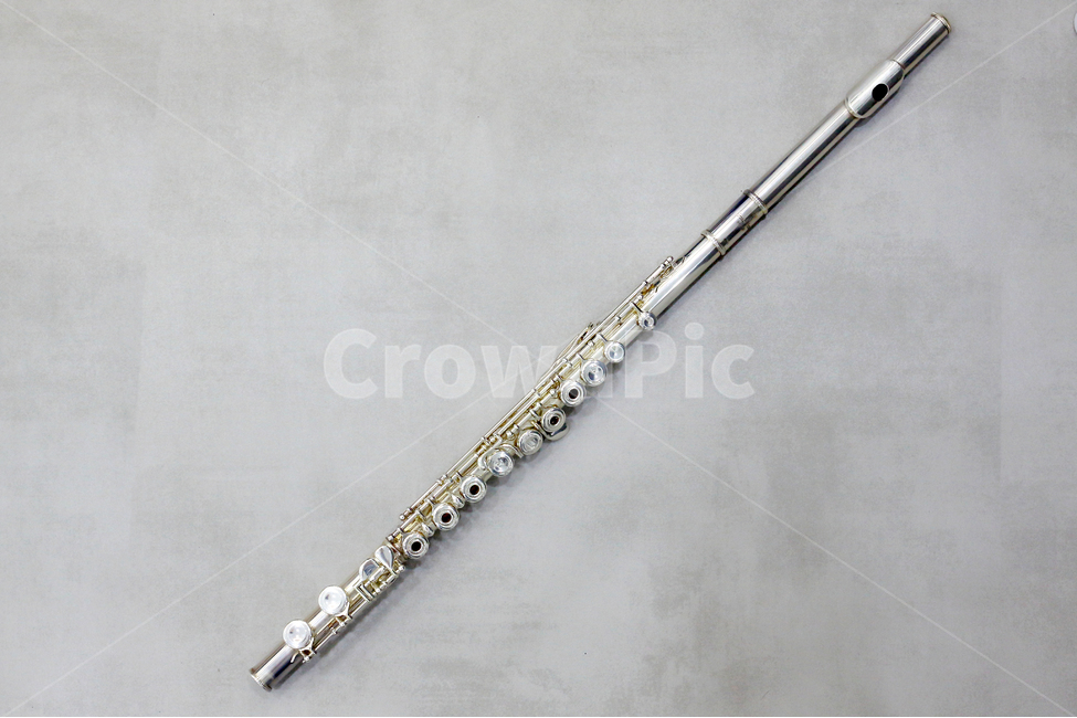 플룻,악기,관악기,플루트,악기연주,취미,연주자,악기,음향기기,musical instrument,musical equipment
