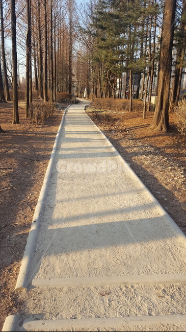 숲,산책,힐링,싱그러운,햇살,자연,길,아침,가을,계절,fall,autumn,season,자연,풍경,nature,landscape,path,통로