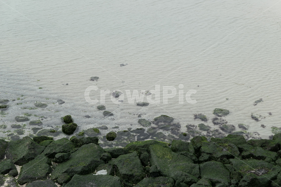 제주도,바다,청량,이끼,맑음,제주,자연,풍경,nature,landscape,plant,식물,algae,조류