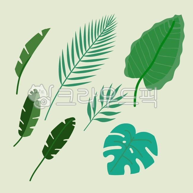 잎사귀,식물요소,열대잎,인테리어소품,여름소품,플랜테리어