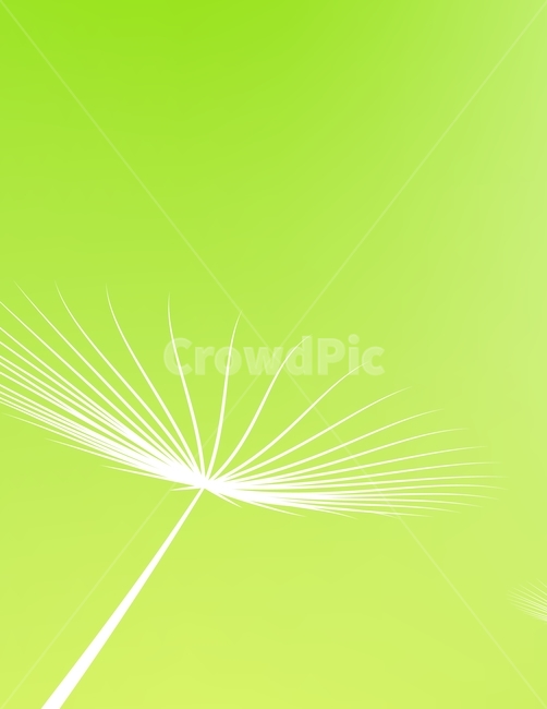 민들레,봄,자연,홀씨,spring,dandelion,nature,배경,background,그래픽,일러스트레이션,graphic,illustration