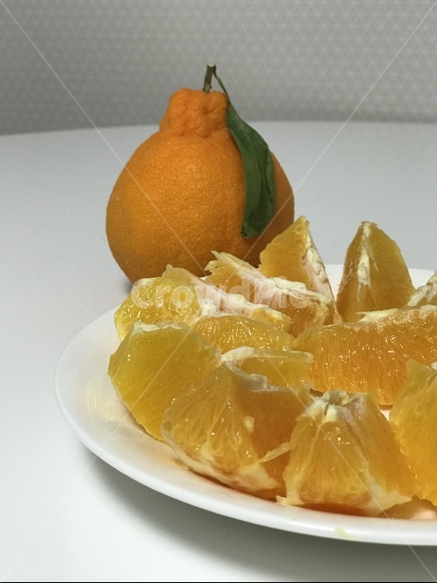 food,음식,감귤류과일,과일,fruit