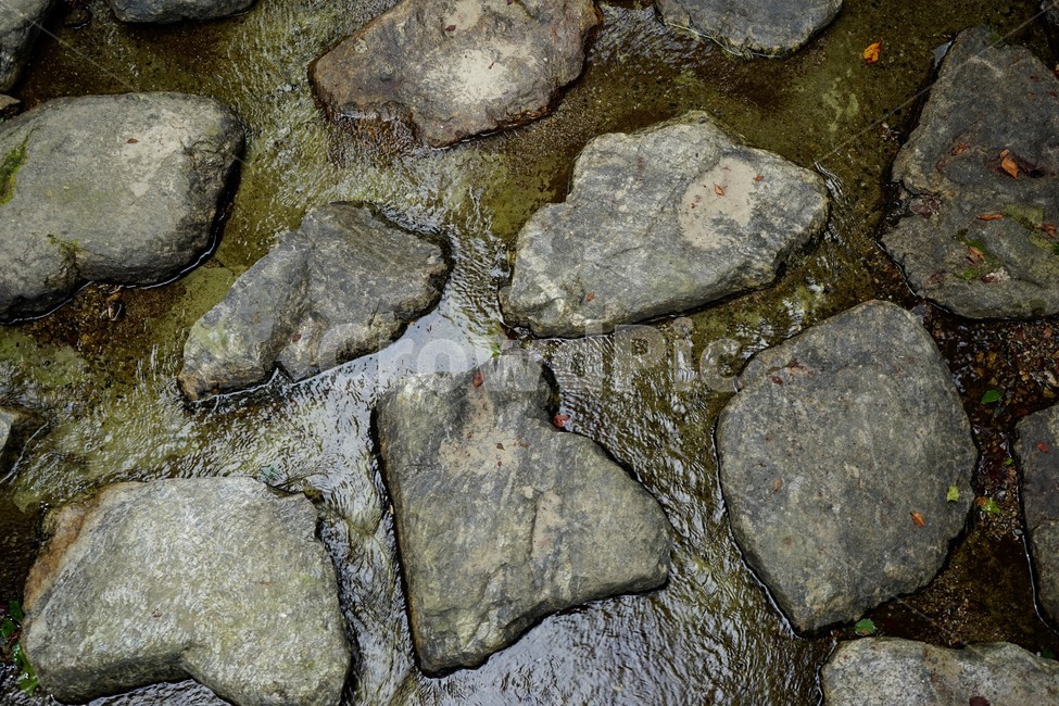 물,돌,흐름,화강암,수로,자연,디딤돌,돌다리,징검다리,자연,풍경,nature,landscape,path,통로,walkway,보도,pavement,포장,sidewalk,flagstone,판석