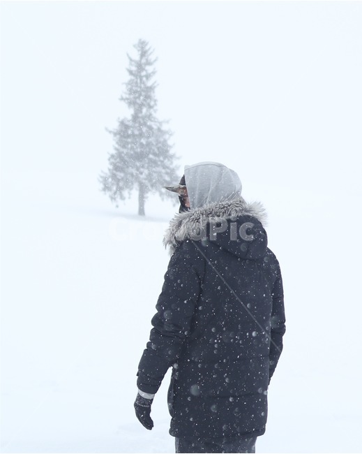 삿포로,겨울,비에이,크리스마스트리,나무,훗카이도,sapporo,snow,눈,tree,christmastree,biei,winter,자연,nature,풍경,배경,landscape,japan,일본,인간,사람,남자,남성,human,person,man,패딩,일본풍경,풍경사진,겨울,계절,winter,season,사람,인물,인간,human,person,남성,남자,man,male,여행,휴가,traveling,vacation,trip
