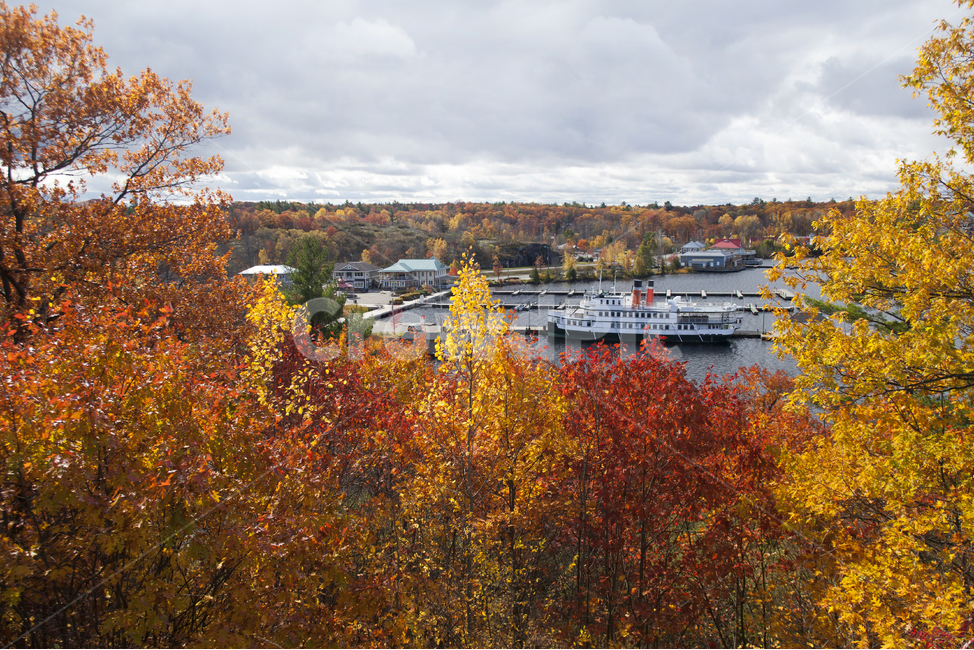 유람선,관광,북미,단풍,단풍놀이,캐나다,온타리오,무스코카,호수,가을,자연,보트,교통,물,나무,가을,계절,fall,autumn,season,tree,plant,식물