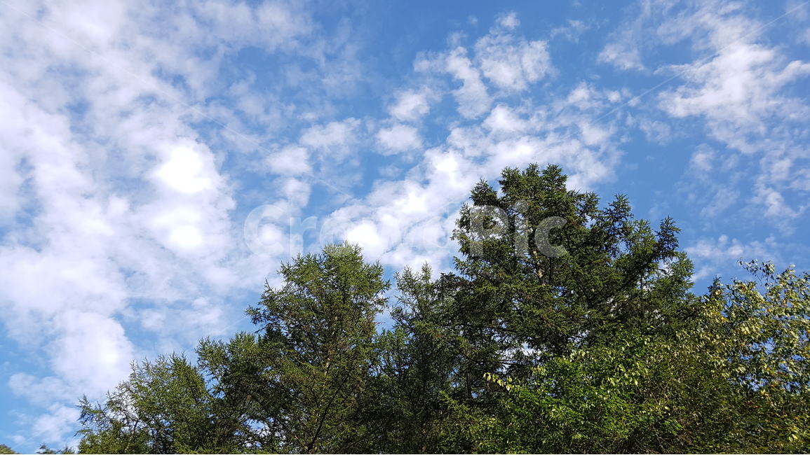 하늘,여름,날씨,숲,풍경,구름,sky,landscape,forest,cloud,weather,sunny,cool,summer,refresh,refreshing,산소,oxygen,여름,계절,summer,season,자연,풍경,nature,landscape,식물,plants,나무,trees,wood,outdoors,옥외,cumulus,적운