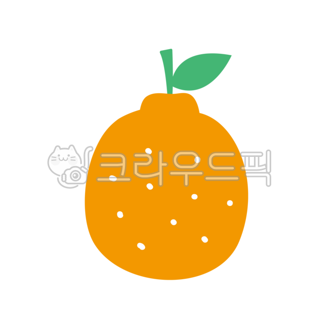 한라봉,mandarin,tangerine,제주한라봉,감귤,귤,과일,열매