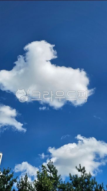 배경화면,가을하늘,하늘,구름,감성,나무,자연,봄,여름,파란하늘,푸른하늘,맑은하늘,가을,바탕화면