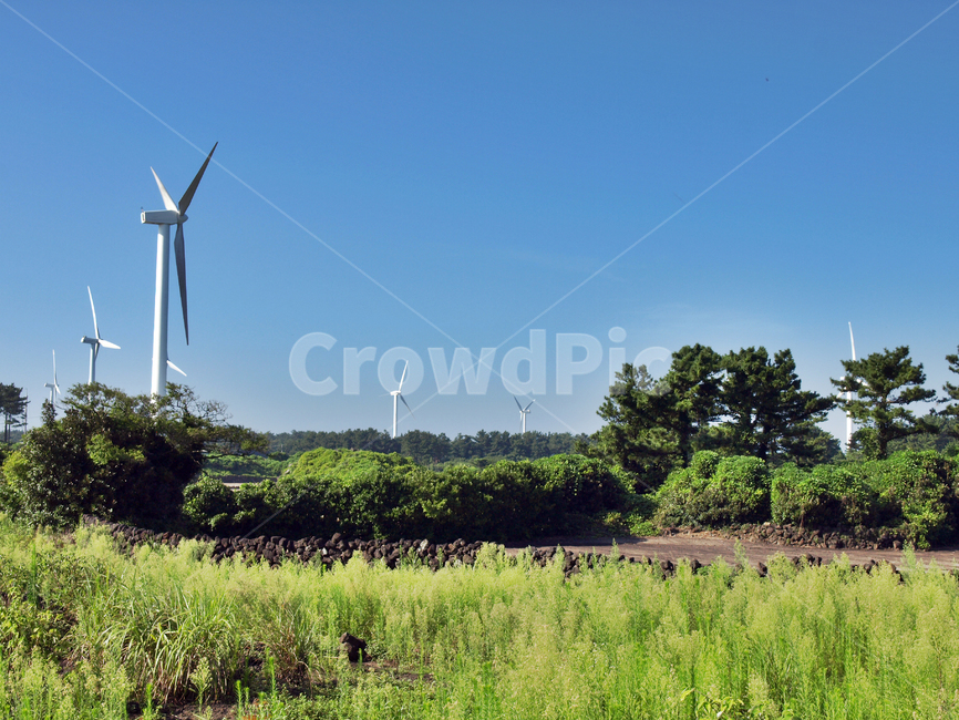 올레,올레20코스,제주,돌담,풍력발전기,푸른하늘,수풀,산업,industry,industrial,에너지산업,energy industry,machine,기계,engine,엔진,motor,모터