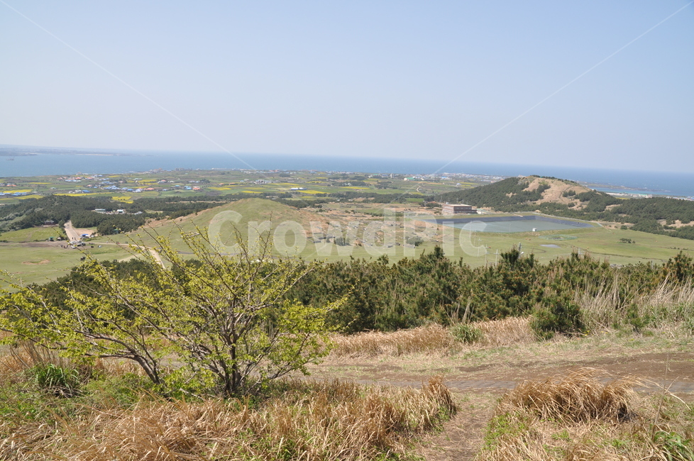 nature,자연,제주,섬,우도,jeju,island