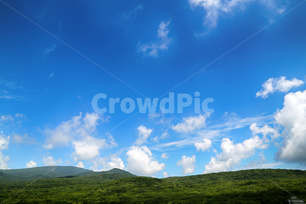 제주도,한라산,1100고지,한라산풍경,1100고지풍경,산,nature,자연,옥외,outdoors,자연,풍경,nature,landscape