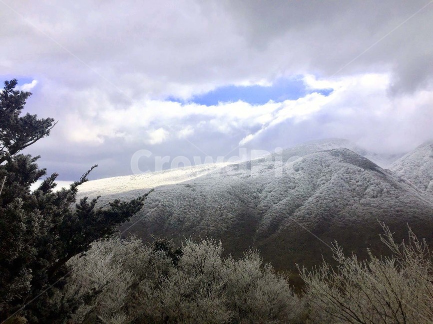 제주도,한라산,겨울한라산,정상,어승생악,풍경,겨울등산,겨울,계절,winter,season,자연,풍경,nature,landscape,outdoors,옥외