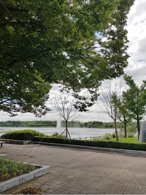 공원,하늘,구름,호수,풍경,lake,tree,맑은날,파란하늘,park,landscape,자연,nature,일산,호수공원,water,나무