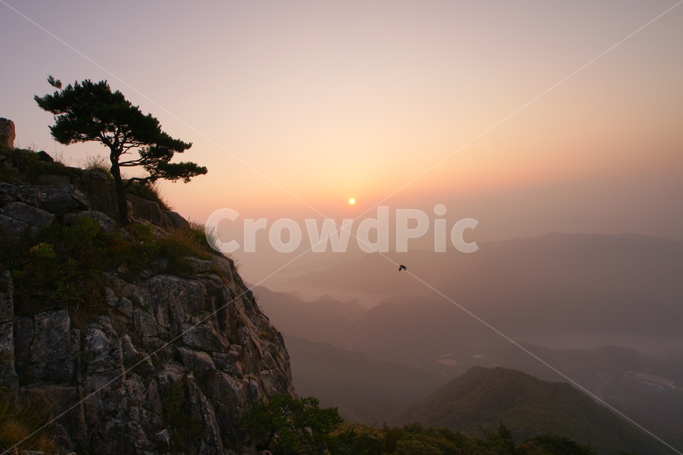 대둔산,일출,소나무,미세먼지,운해,자연,풍경,nature,landscape,한국자연풍경,한국자연경관,korea nature landscape,outdoors,옥외,cliff,낭떠러지