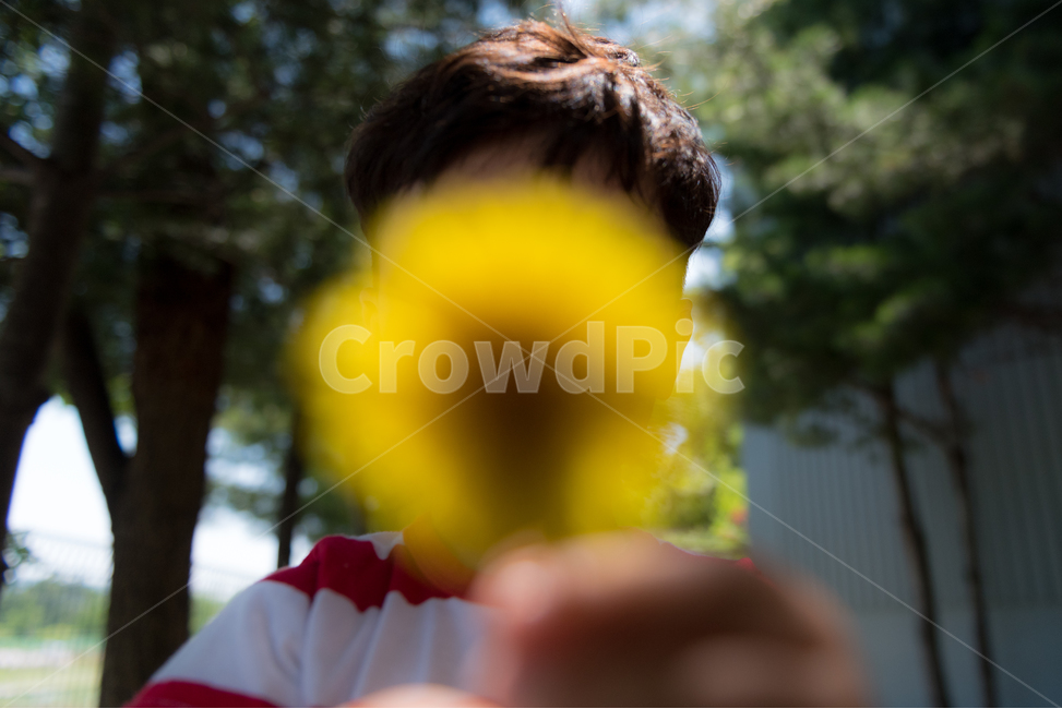 민들레,꽃,아이,선물,들꽃,봄,꽃,flower,사람,인물,인간,human,person,어린이,어린아이,child,children,kid